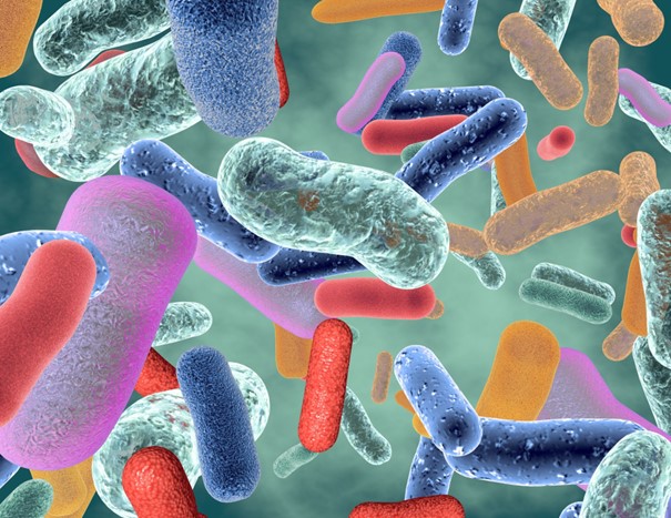 Lire la suite à propos de l’article Nos amis du microbiote
